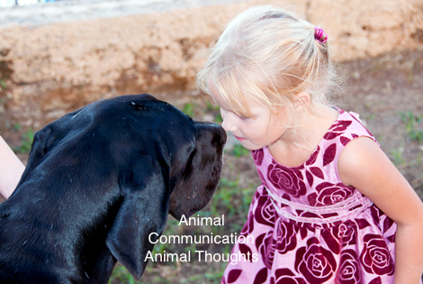 Children’s Knowledge