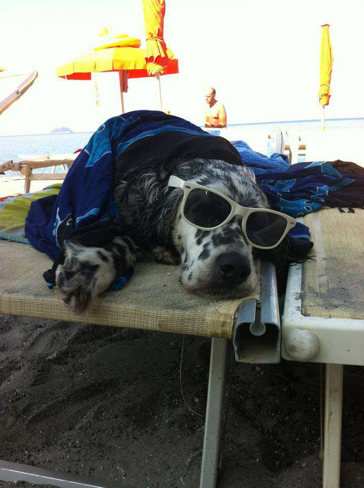 summer-picture-beach