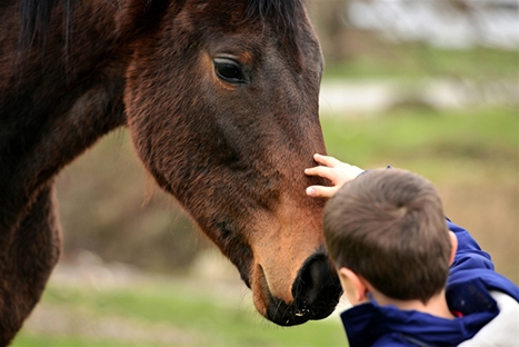 20170427_skanska620__b468m