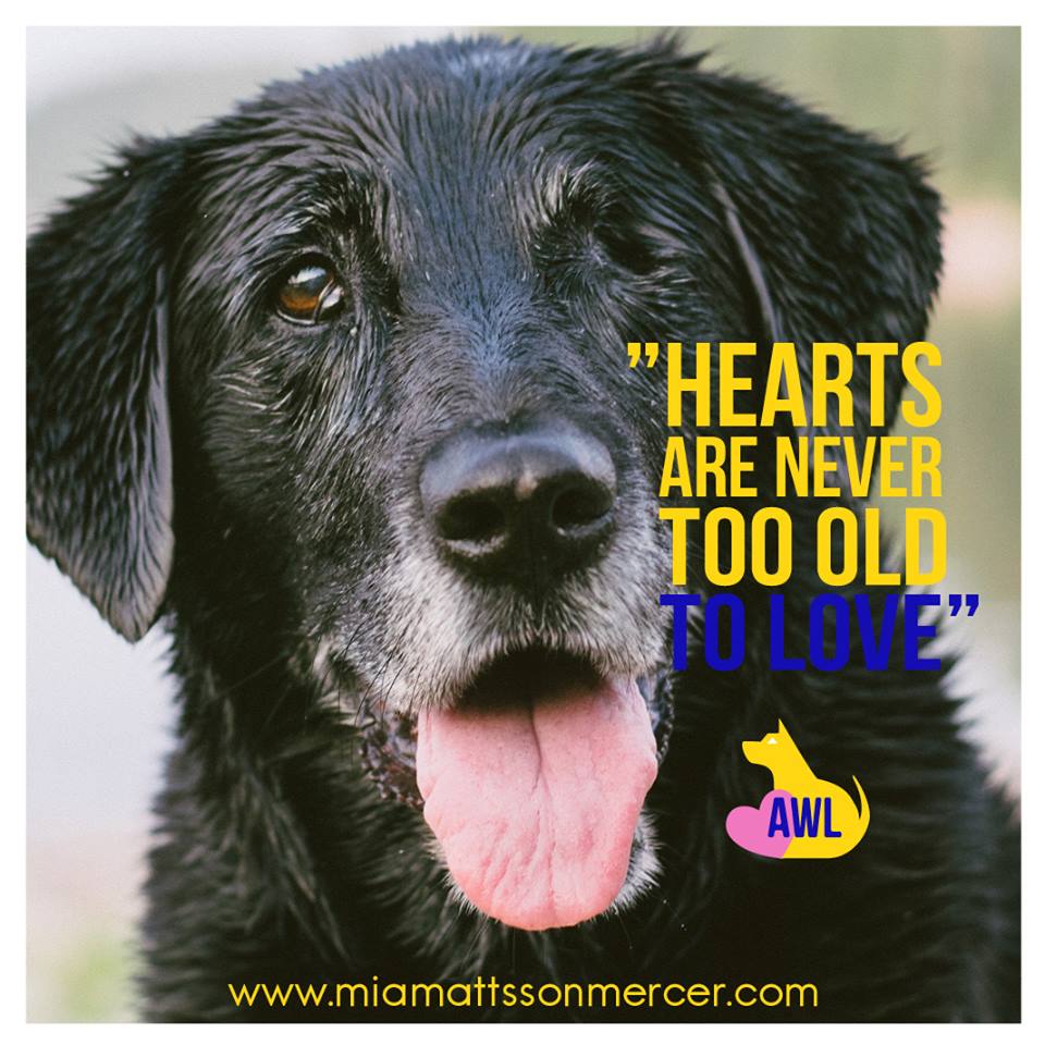 AWL mia hemsida adress 1