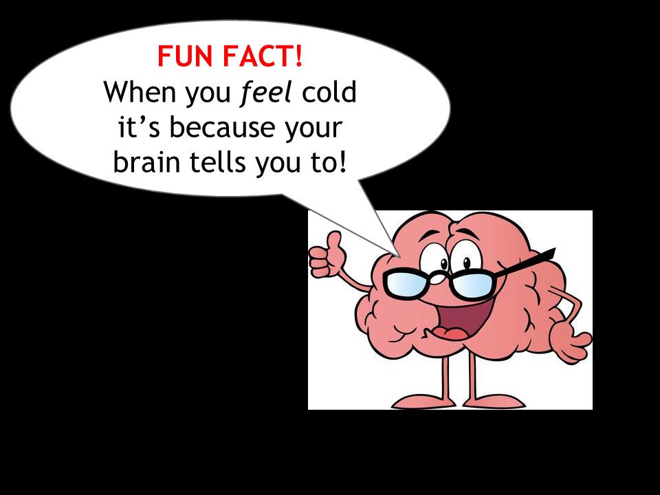 brain talks