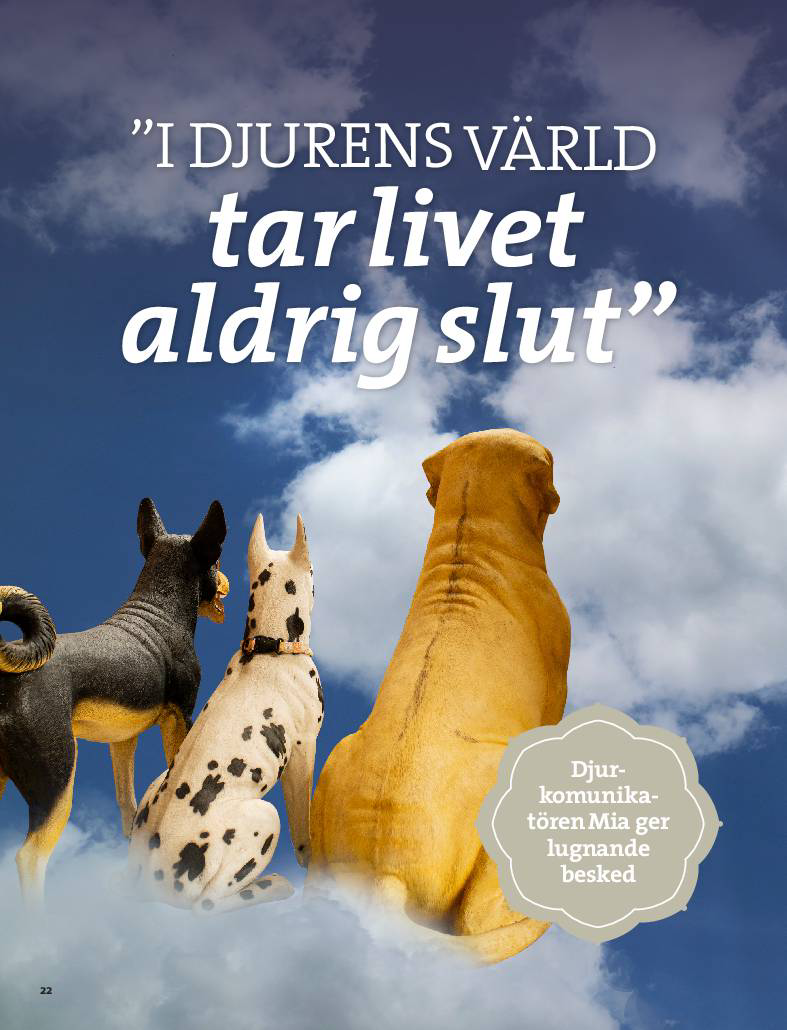 Repotage i Tidningen Nära - 2025